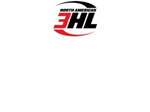 Wild 2015-2016 NA3HL Draft Summary