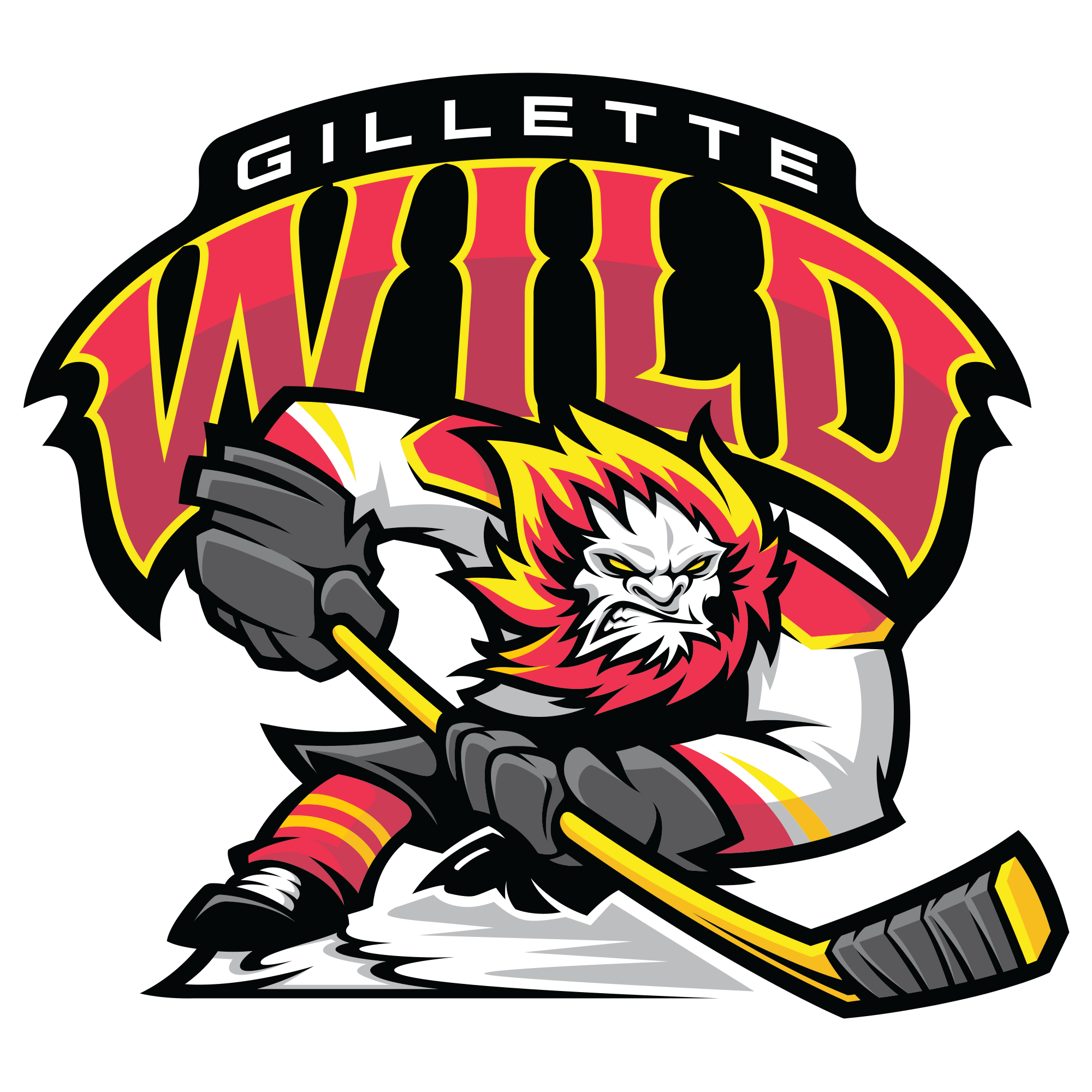 (c) Gillettewildhockey.com