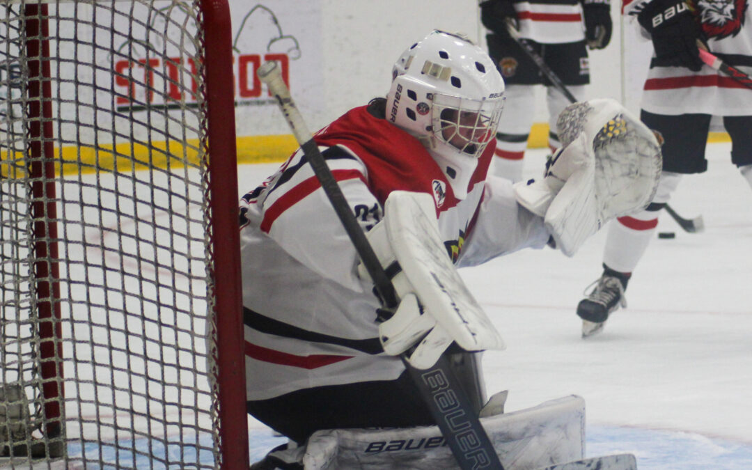 October Recap: Gillette Wild