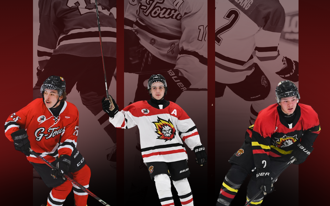 Gillette Wild Iron Men